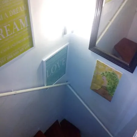 Optimist * Split