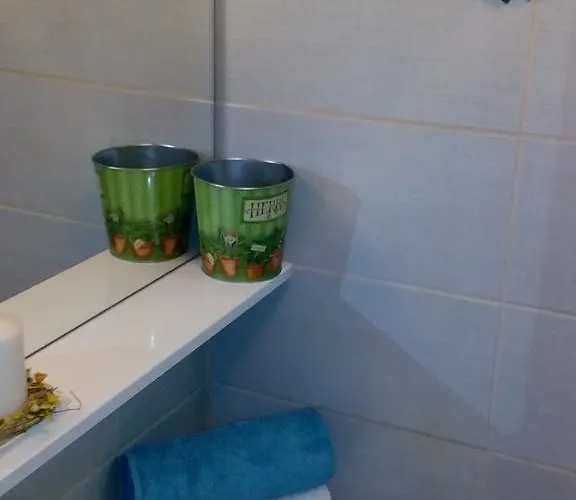 Optimist * スプリト